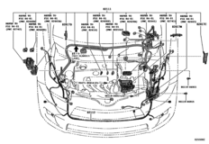Wiring & Clamp