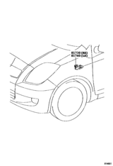 Side Turn Signal Lamp & Outer Mirror Lamp