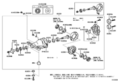 Rear Axle Housing & Differential
