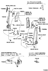 Seat Belt & Child Restraint Seat
