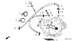 Oil cooler hose/ oil strainer