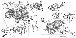 Cylinder block/oil pan