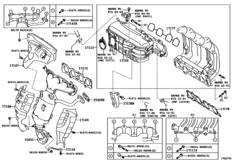 Manifold