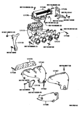 Manifold
