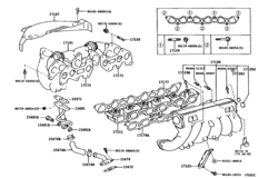 Manifold