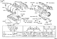 Manifold
