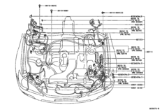 Wiring & Clamp