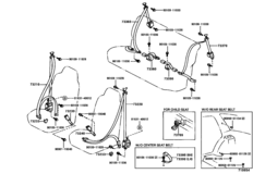 Seat Belt & Child Restraint Seat