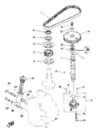 Oil pump belt