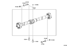 Propeller Shaft & Universal Joint