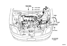 Wiring & Clamp