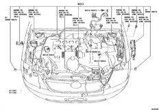 Wiring & Clamp