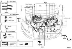 Wiring & Clamp