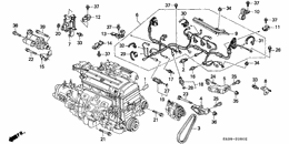 Engine wire harness/clamp