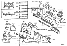 Manifold