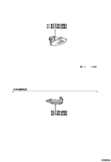 Side Turn Signal Lamp & Outer Mirror Lamp