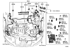 Wiring & Clamp