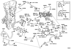 Radiator & Water Outlet