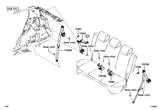Seat Belt & Child Restraint Seat
