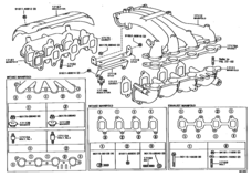 Manifold