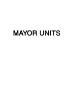 Mayor units