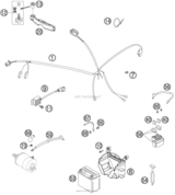 Wiring Harness