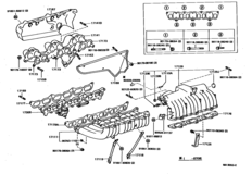 Manifold