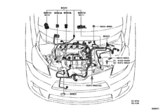 Wiring & Clamp