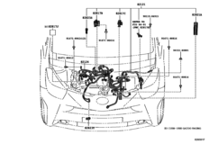 Wiring & Clamp