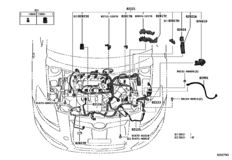 Wiring & Clamp