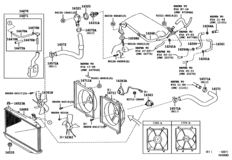 Radiator & Water Outlet