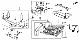 Taillight/license light