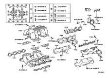 Manifold