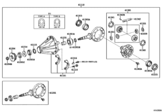 Rear Axle Housing & Differential