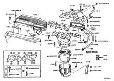 Manifold