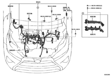Wiring & Clamp