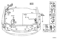 Wiring & Clamp