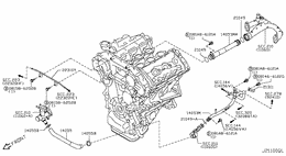 Water hose & piping