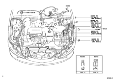 Wiring & Clamp