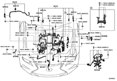Wiring & Clamp