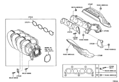 Manifold