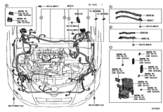 Wiring & Clamp
