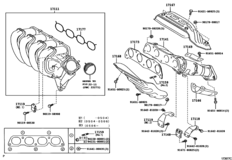 Manifold