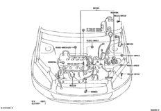 Wiring & Clamp