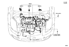 Wiring & Clamp