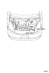 Wiring & Clamp