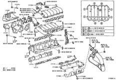Manifold
