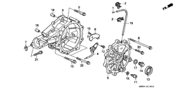 Differential carrier