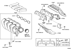 Manifold