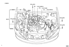 Wiring & Clamp